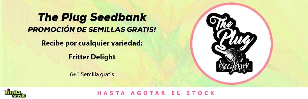 THE PLUG SEEDBANK PROMOCIÓN DE SEMILLAS GRATIS