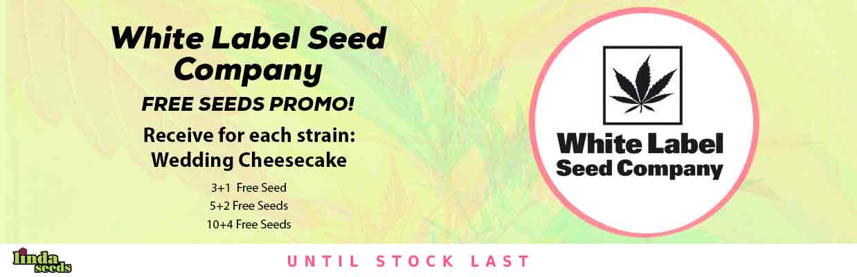 WHITE LABEL FREE SEEDS PROMOTION