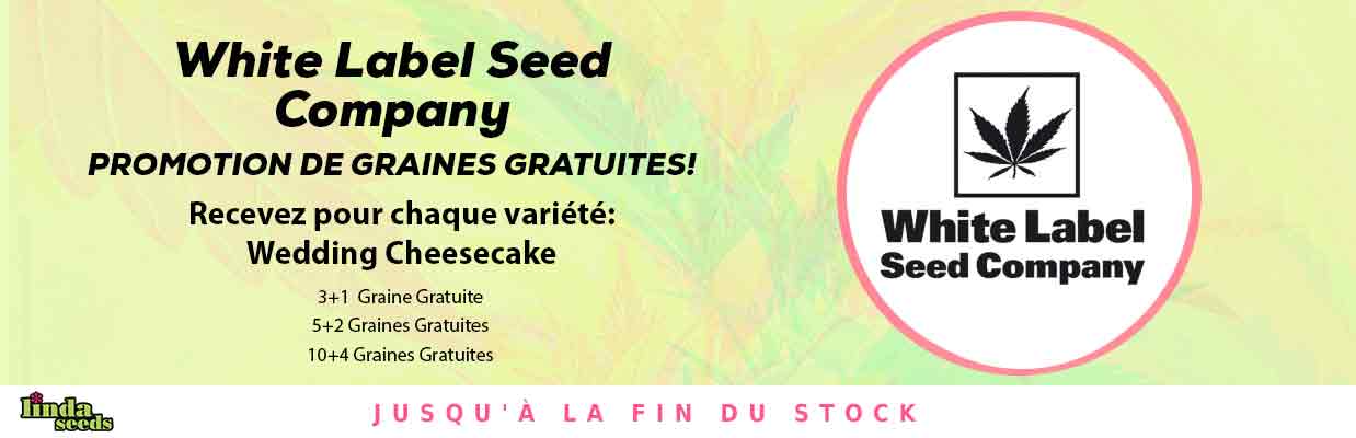 WHITE LABEL PROMOTION DE GRAINES GRATUITES