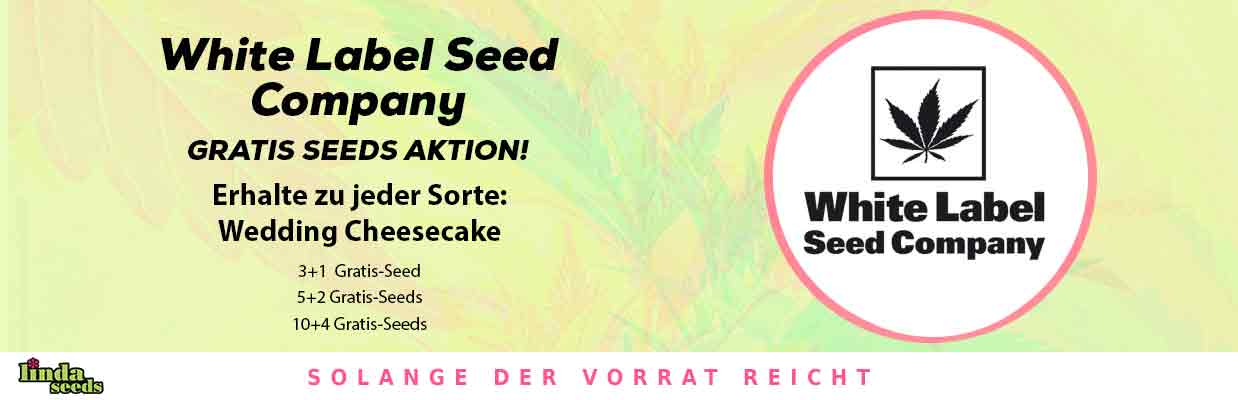 WHITE LABEL GRATIS SAMEN AKTION