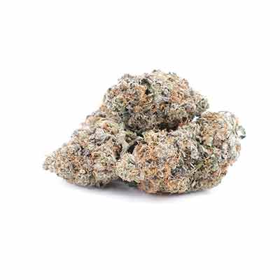 Snoop\'s Punch > Elev8 Seeds | Feminized Marijuana   |  Indica