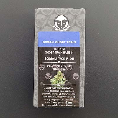 Somali Ghost Train > Rare Dankness Seeds | Regular Marijuana   |  Sativa