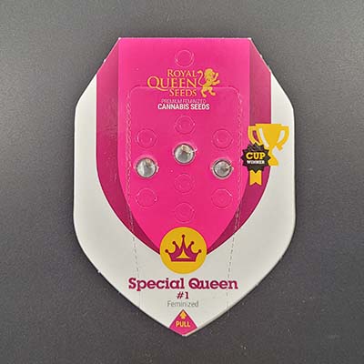 Special Queen #1 > Royal Queen Seeds | Feminisierte Hanfsamen  |  Hybrid