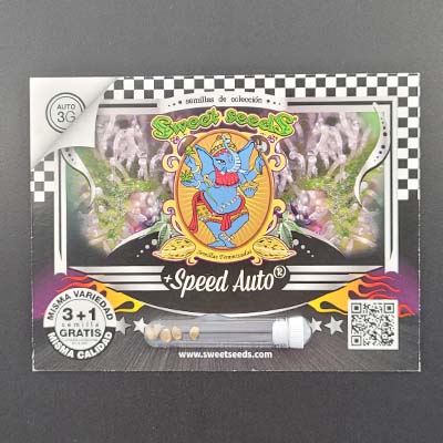 +Speed Auto > Sweet Seeds | Autoflowering Hanfsamen  |  Hybrid