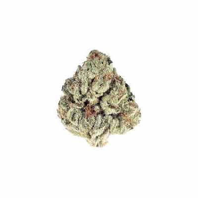 Sticky Boof > Anesia Seeds | Feminized Marijuana   |  Indica