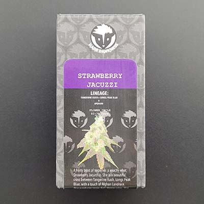 Strawberry Jacuzzi > Rare Dankness Seeds | Feminisierte Hanfsamen  |  Hybrid