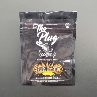 Sunlato > The Plug Seedbank | Feminisierte Hanfsamen  |  Sativa