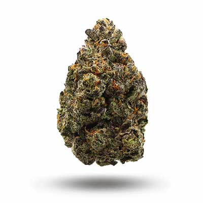 Sunset Bride > Humboldt Seed Organization | Feminized Marijuana   |  Hybrid