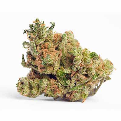 Sunset Sherbet > Kannabia Seeds | Feminized Marijuana   |  Hybrid