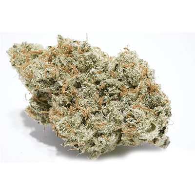 Super Lemon Haze x GMO > Green House Seed Company | Semillas feminizadas  |  Híbrido