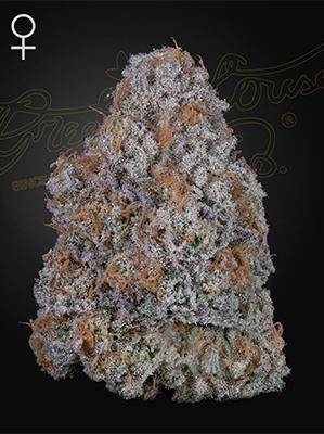 Super Lemon Haze x RS11 > Green House Seed Company | Semillas feminizadas  |  Híbrido