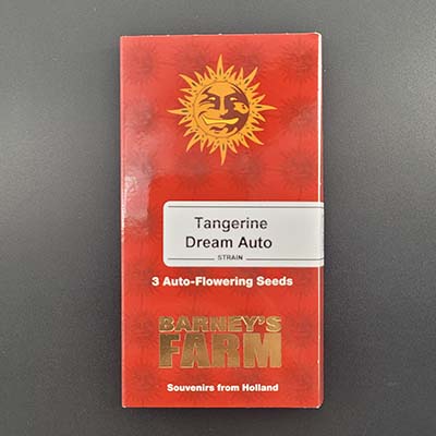 Tangerine Dream Auto > Barney\'s Farm | Autoflowering Hanfsamen  |  Indica