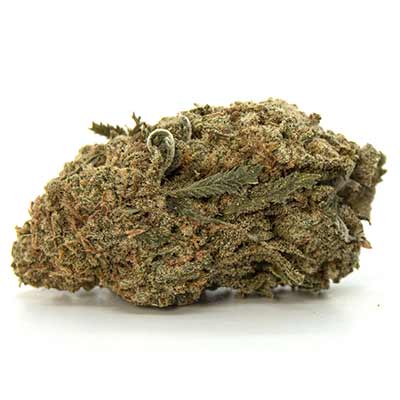 Tangie Candy > Elev8 Seeds | Feminized Marijuana   |  Hybrid