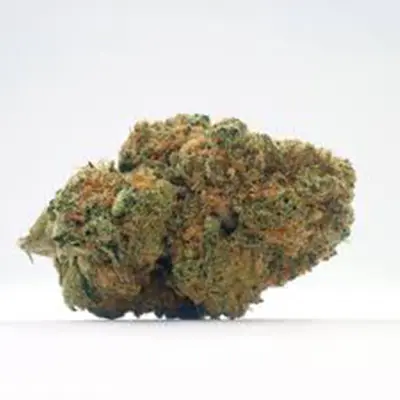 Tangie > Royal Queen Seeds | Feminized Marijuana   |  Sativa