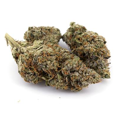 The Sin > Anesia Seeds | Feminized Marijuana   |  Hybrid