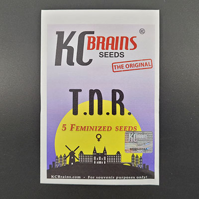 T.N.R > KC Brains | Semillas feminizadas  |  Híbrido