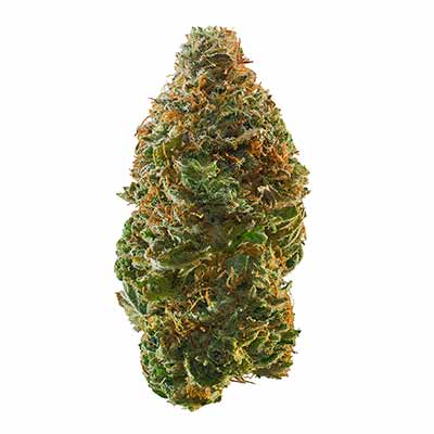 Trainwreck > Barney\'s Farm | Semillas feminizadas  |  Sativa