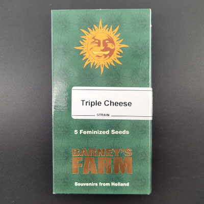 Triple Cheese Strain Barney s Farm THC 20