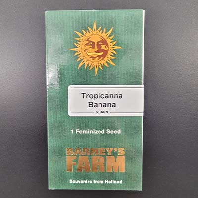 Tropicanna Banana > Barney\'s Farm | Feminized Marijuana   |  Hybrid