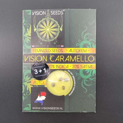 Auto Vision Caramello > Vision Seeds | Autoflowering Hanfsamen  |  Indica