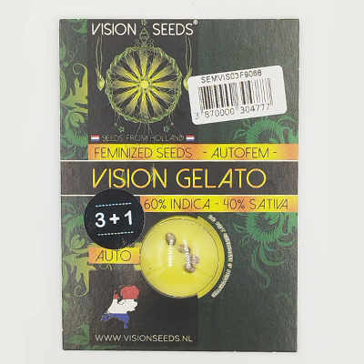 Auto Vision Gelato > Vision Seeds | Graines Autofloraison  |  Hybride