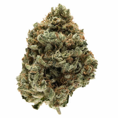 Vision Kosher > Vision Seeds | Feminized Marijuana   |  Indica