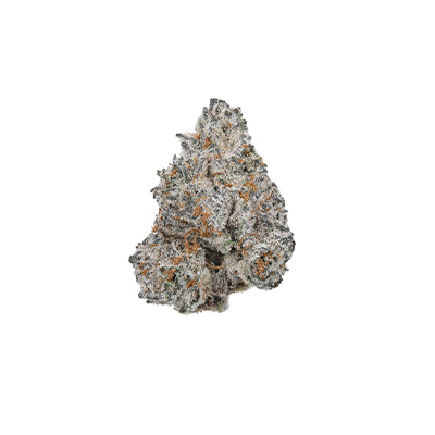 White Truffle > Linda Seeds | Feminisierte Hanfsamen  |  Sativa