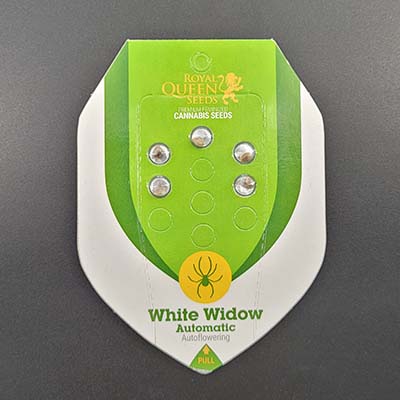 White Widow Automatic > Royal Queen Seeds | Autoflowering Cannabis   |  Hybrid