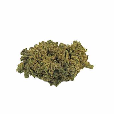 White Widow > Vision Seeds | Feminized Marijuana   |  Hybrid