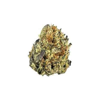 Xhale > Elev8 Seeds | Feminized Marijuana   |  Hybrid