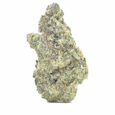 Zerberry > Grounded Genetics | Feminized Marijuana   |  Hybrid