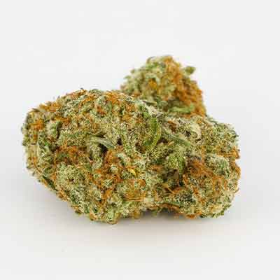 Zerealz Milk > Advanced Seeds | Feminized Marijuana   |  Hybrid