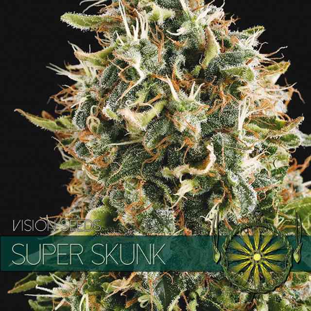 super strain weed