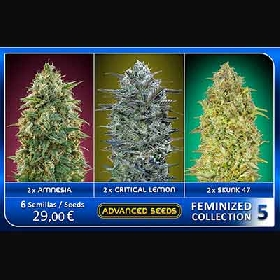 Feminized Collection #5 > Advanced Seeds