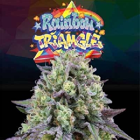 Rainbow Triangle > Perfect Tree