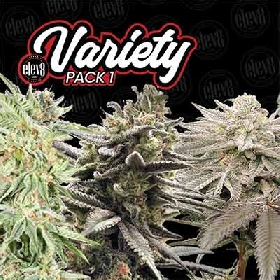 Variety Pack #1 > Elev8 Seeds