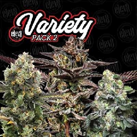 Variety Pack #2 > Elev8 Seeds