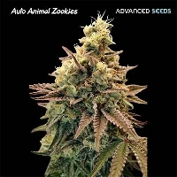 Animal Zookies Auto > Advanced Seeds