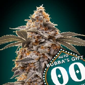 Auto Bubba's Gift > 00 Seeds Bank