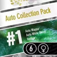 Auto Collection Pack #1 > Paradise Seeds