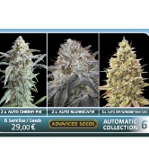 Automatic Collection #6 > Advanced Seeds