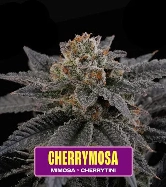 Cherrymosa > Perfect Tree