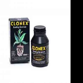 CLONEX > CLONEX