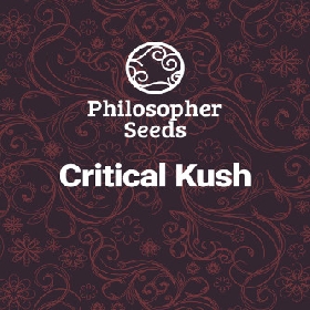 Critical Kush > Philosopher Seeds