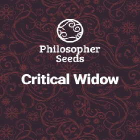 Critical Widow > Philosopher Seeds