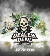 Dealer Deal XXL Automix > BSF Seeds