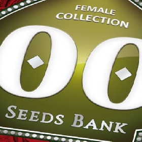 Female Collection #1 > 00 Seeds Bank