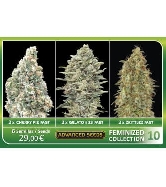 Feminized Collection #10 > Advanced Seeds