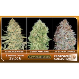 Feminized Collection #9 > Advanced Seeds