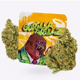 Gorilla Grillz Gorilla Grillz > CBD Gras